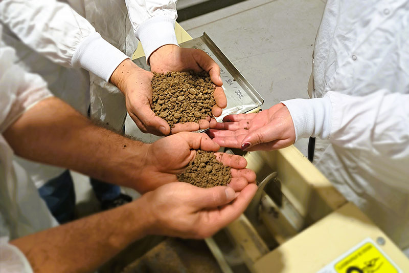 PhenOlives secures investment and appoints former Nestlé Israel CEO